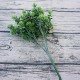 6 Branches Simulation Plant Guanyin Grass Imitation Plastic Flower Home Plant Decoration Green 6 Branches Simulation Plant Guanyin Grass Imitation Plastic Flower Home Plant Decoration Green